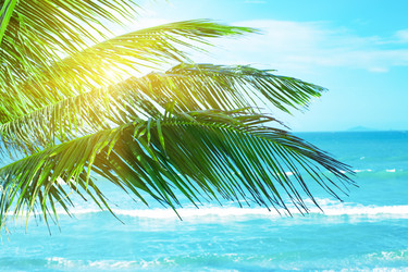 Similar image 722844