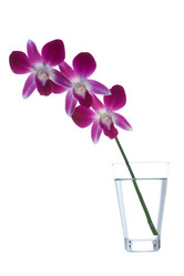 Similar image 722855