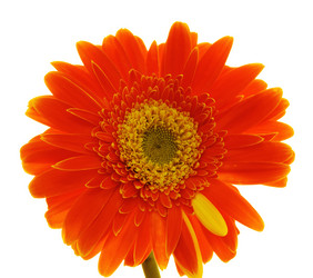 Similar image 722859