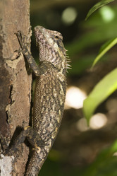 Similar image 722924