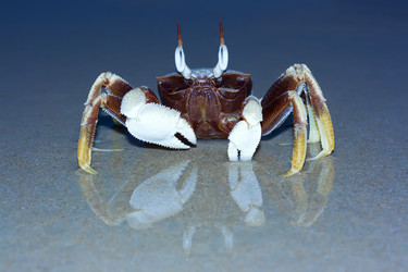 Similar image 722931