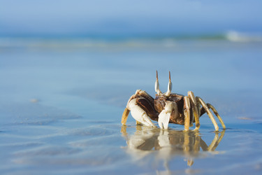 Similar image 722932