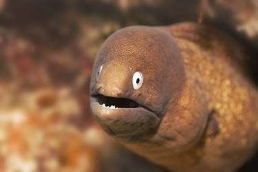 Similar image 722946