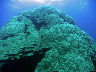 Similar image 722957