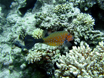 Similar image 722958