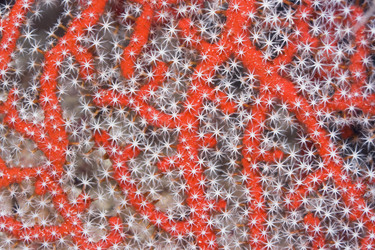 Similar image 722961