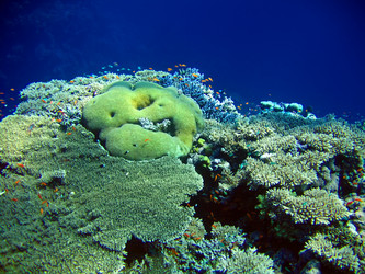 Similar image 722963