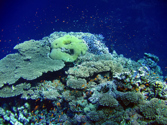 Similar image 722964