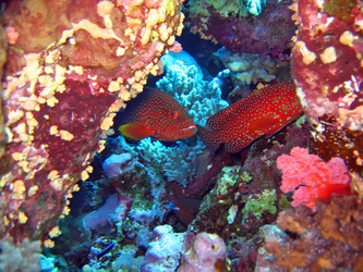 Similar image 722974