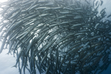 Similar image 722976