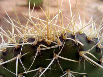 Similar image 722993