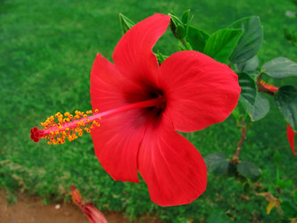 Similar image 722996