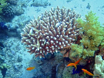 Similar image 723000