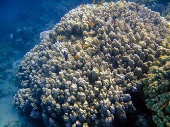 Similar image 723001