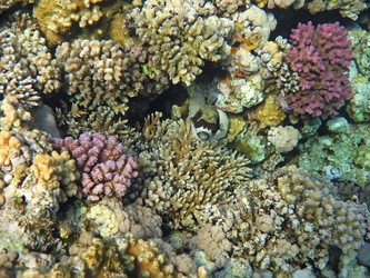 Similar image 723004