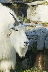 Similar image 723005