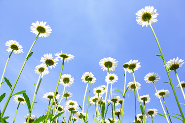 Similar image 723007