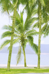 Similar image 723008