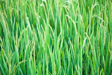 Similar image 723017