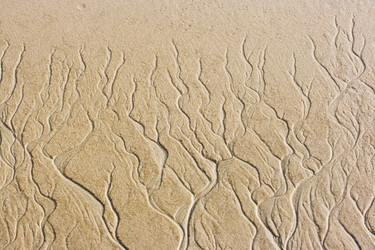 Similar image 723018