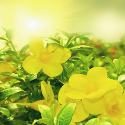 Similar image 723020