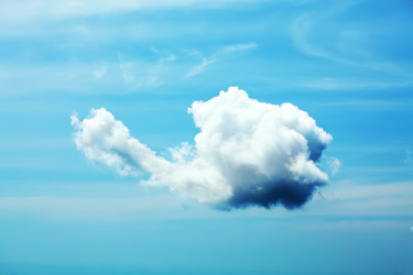 Similar image 723128