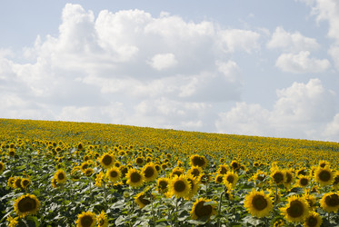 Similar image 723140