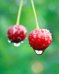 Similar image 723211