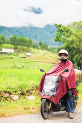 Similar image 723230