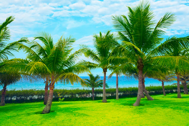 Similar image 723236