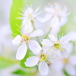 Similar image 723242