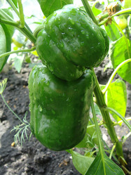 Similar image 723244