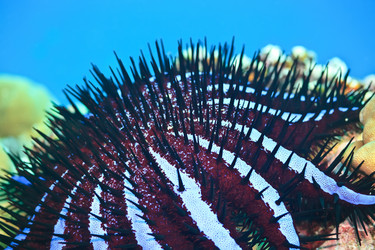 Similar image 723246