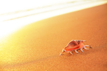 Similar image 723256