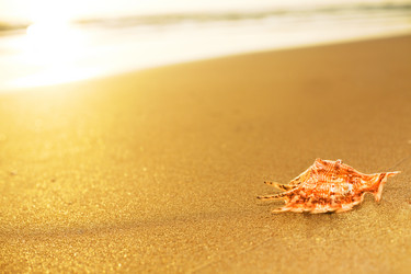 Similar image 723257