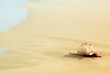 Similar image 723258