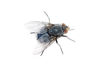 Similar image 723261