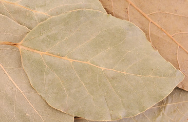 Similar image 723275