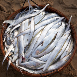 Similar image 723277