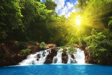 Similar image 723279