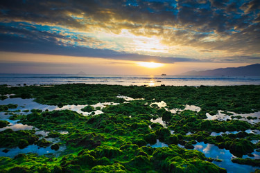 Similar image 723280