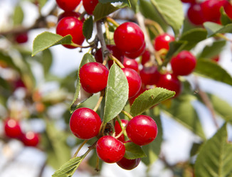 Similar image 723287