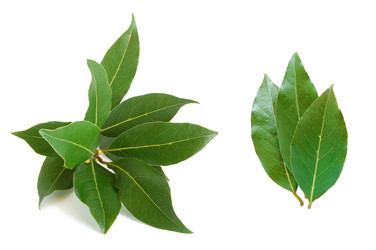 Similar image 723318