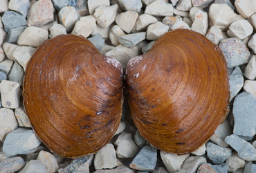 Similar image 723319