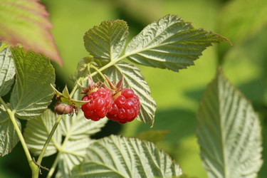 Similar image 723326