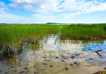 Similar image 723332