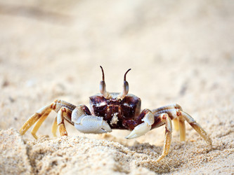 Similar image 723333