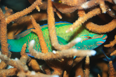 Similar image 723337