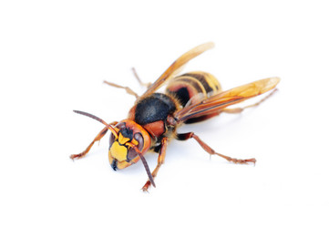 Similar image 723359