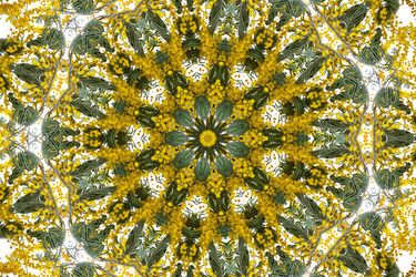 Similar image 723362